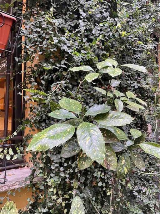 Loft Di Design Nel Cuore Di Milano Εξωτερικό φωτογραφία